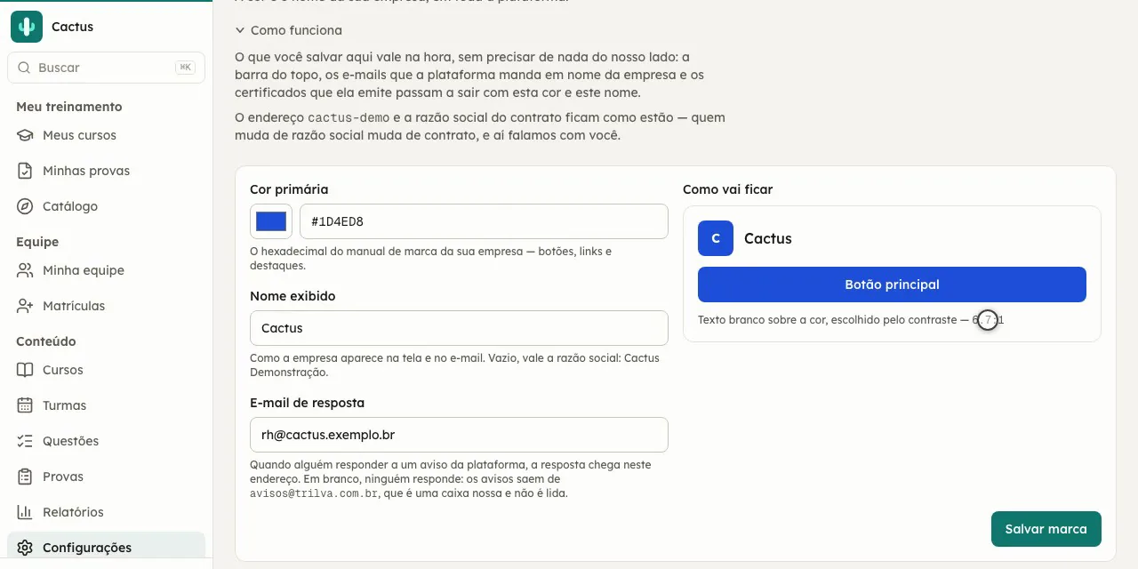 A tela de marca: cor primária com a razão de contraste conferida, nome exibido, logotipo e e-mail de resposta.